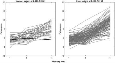 Age-Specific Activation Patterns and Inter-Subject Similarity During Verbal Working Memory Maintenance and Cognitive Reserve